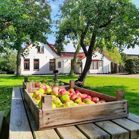 Appartamento De Vrijheid-Plantage De Cocksdorp  Esterno foto